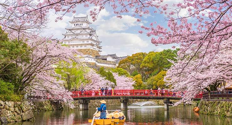 A boat paddling down the river through the cherry blossoms, towards a japanese temple.