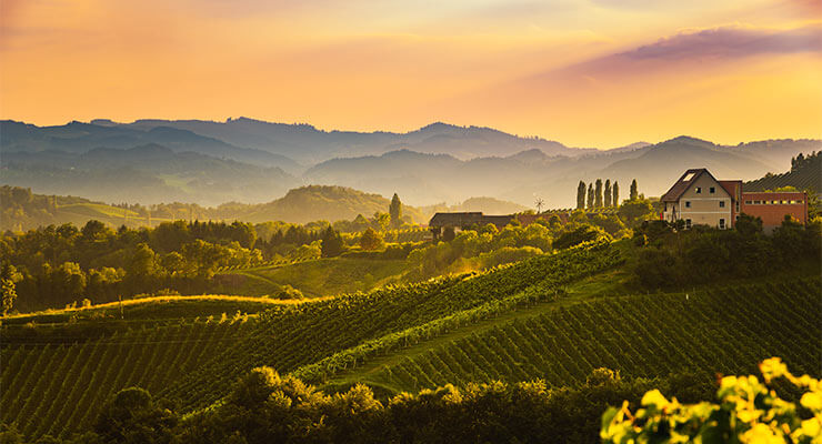 The spectacular view across the vineyards of Tuscany, set against a beautiful backdrop of mountains.