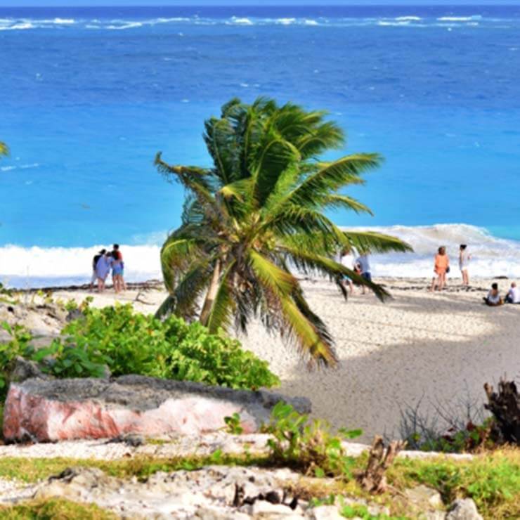 View of the white sand beaches in barbados, lines with palm trees and miles of blue sea.