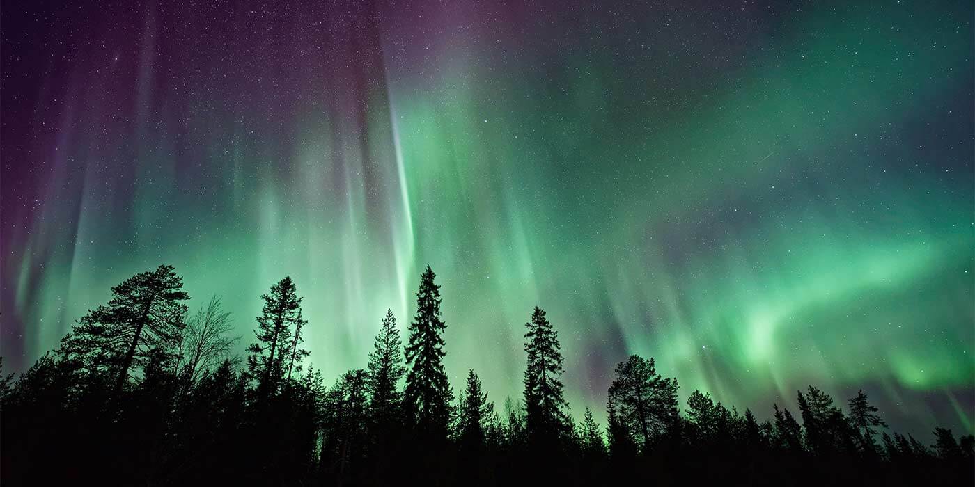 A spectacular view of the northern lights over a forest in finland, a popular bucket list holiday.