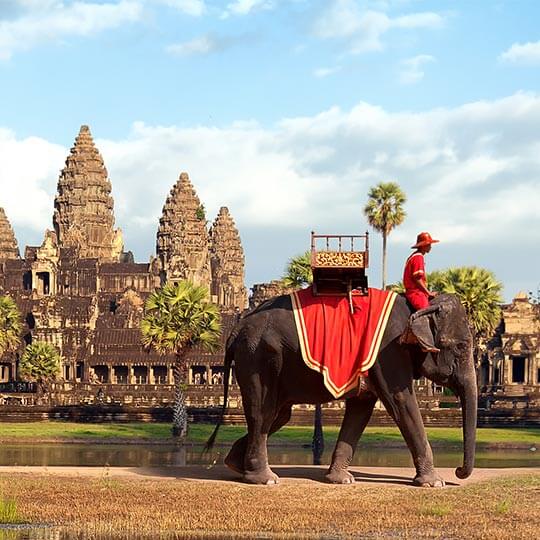 An elephant with a red cover walking in front of a temple in Cambodia.