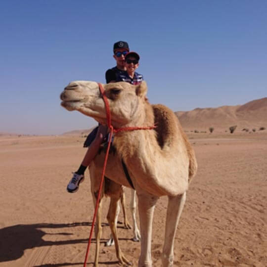 Camel tours in Oman in the desert.