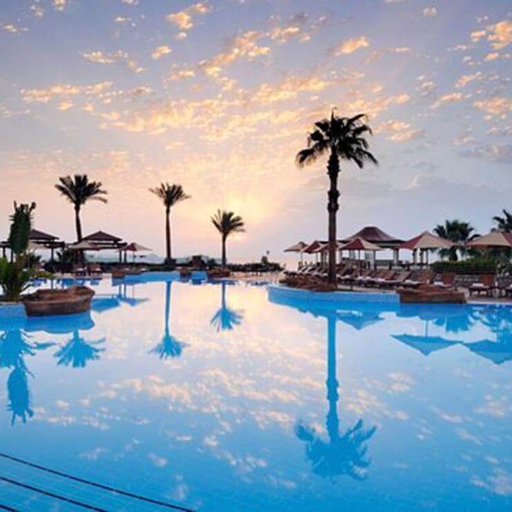 A luxurious pool in egypt, reflecting the palm trees under a clear sky.