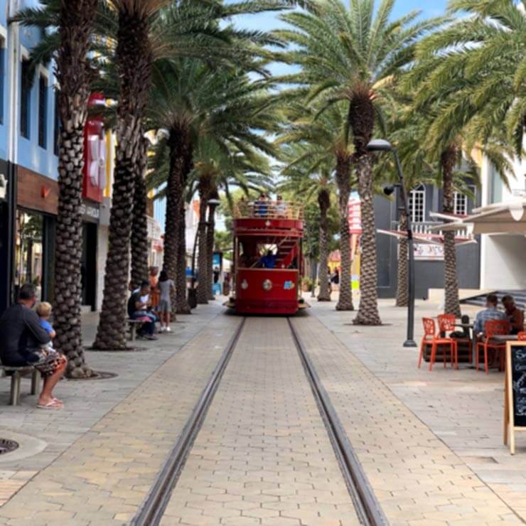 Trams running in the streets of Aruba, lined by palm trees.
