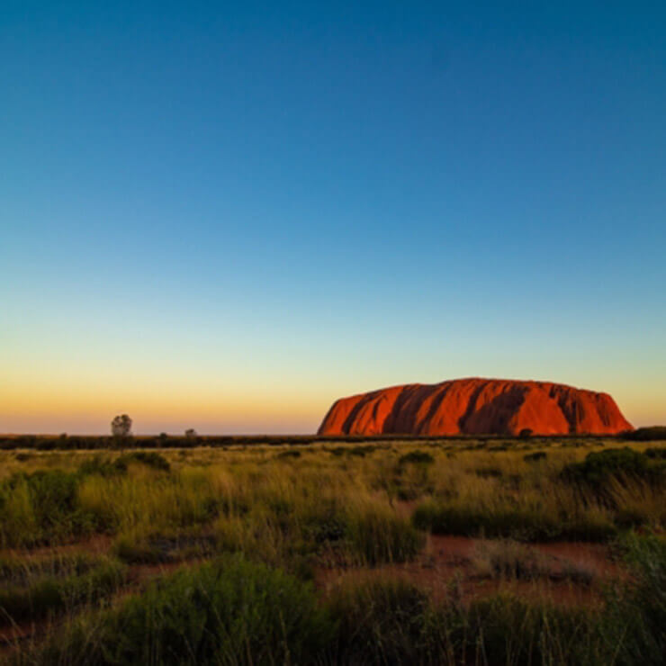 Uluru, previously known as Ayers Rock, at sunrise, the red rock showing vibrantly.