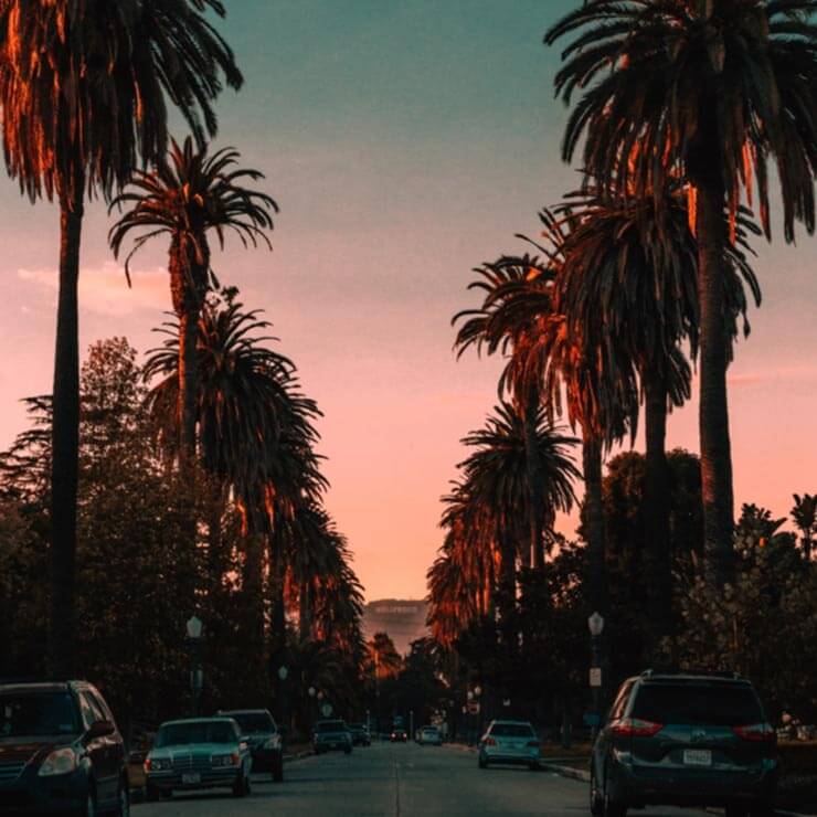 Magnificent purple-hued sunset through the palm trees in california.