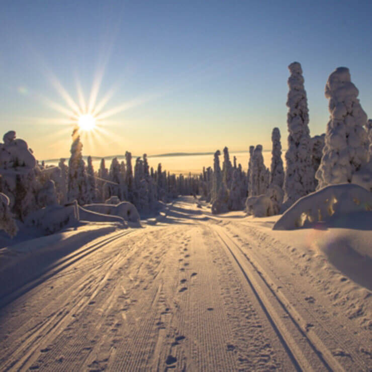 The shimmering midday sun low in the sky during winter in lapland, shining off snowy roads.