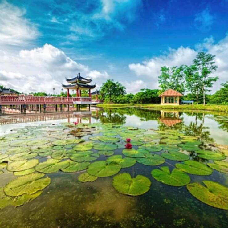 Beautiful lake filled with lilypads, with traditional temples lining the water in Malaysia.