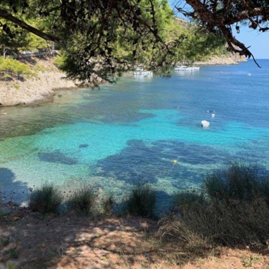 A view through the trees of the clear blue waters in kefalonia.