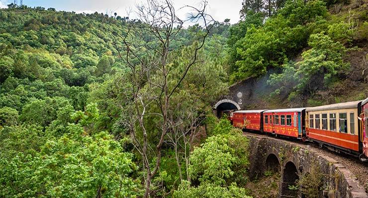 The palace on wheels luxury train journeys running through lush green forests over a bridge.