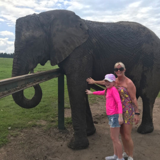 Meeting elephants in South Africa.