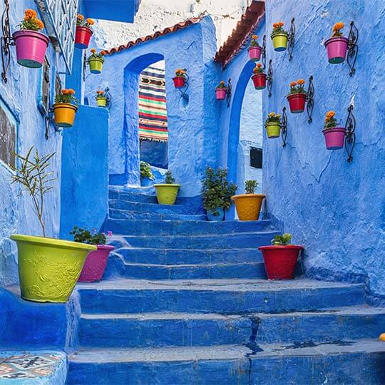 The colourful streets of Morocco with blue walls and staircase and flower pots dotted around.