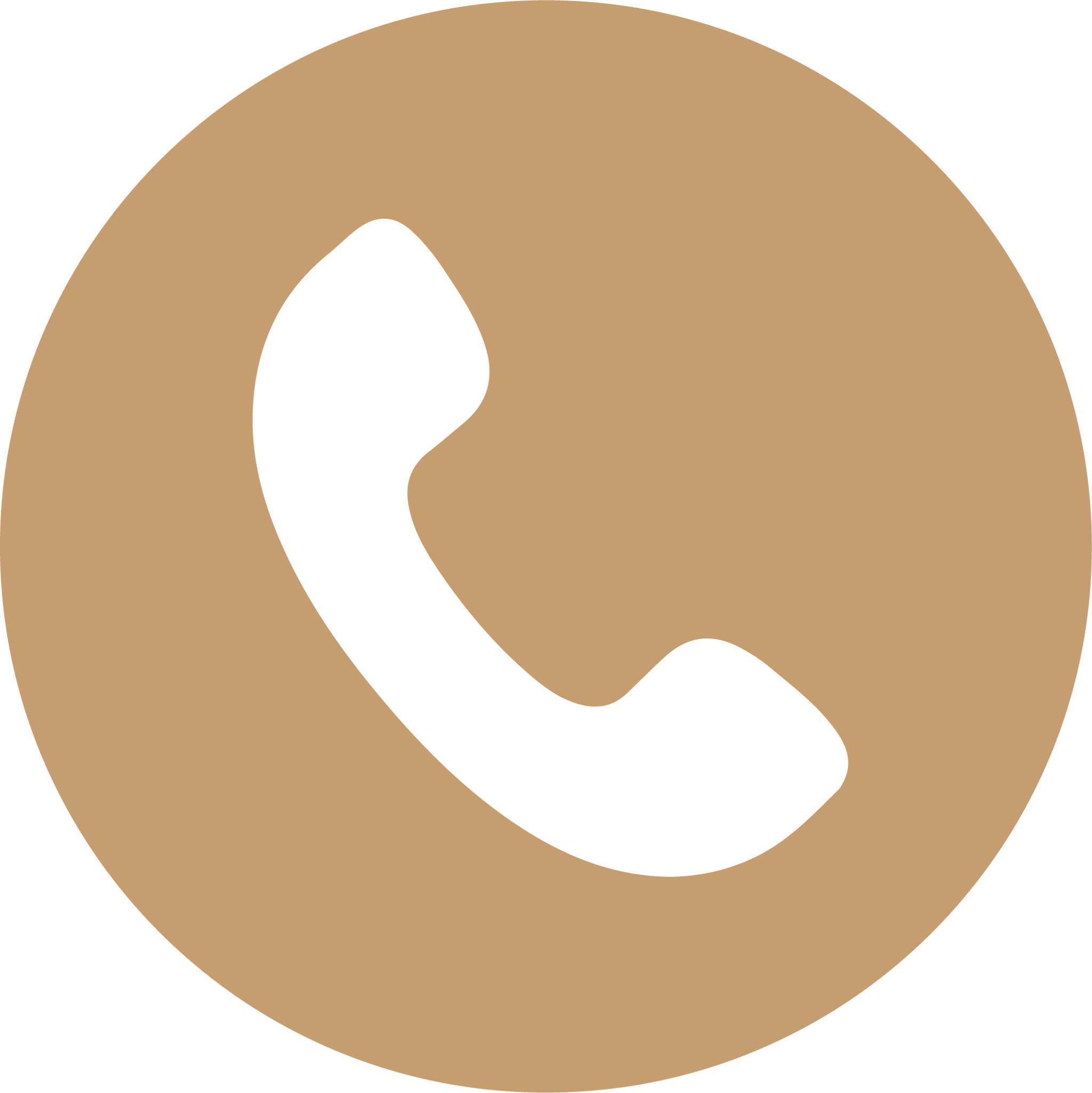 Phone call icon.