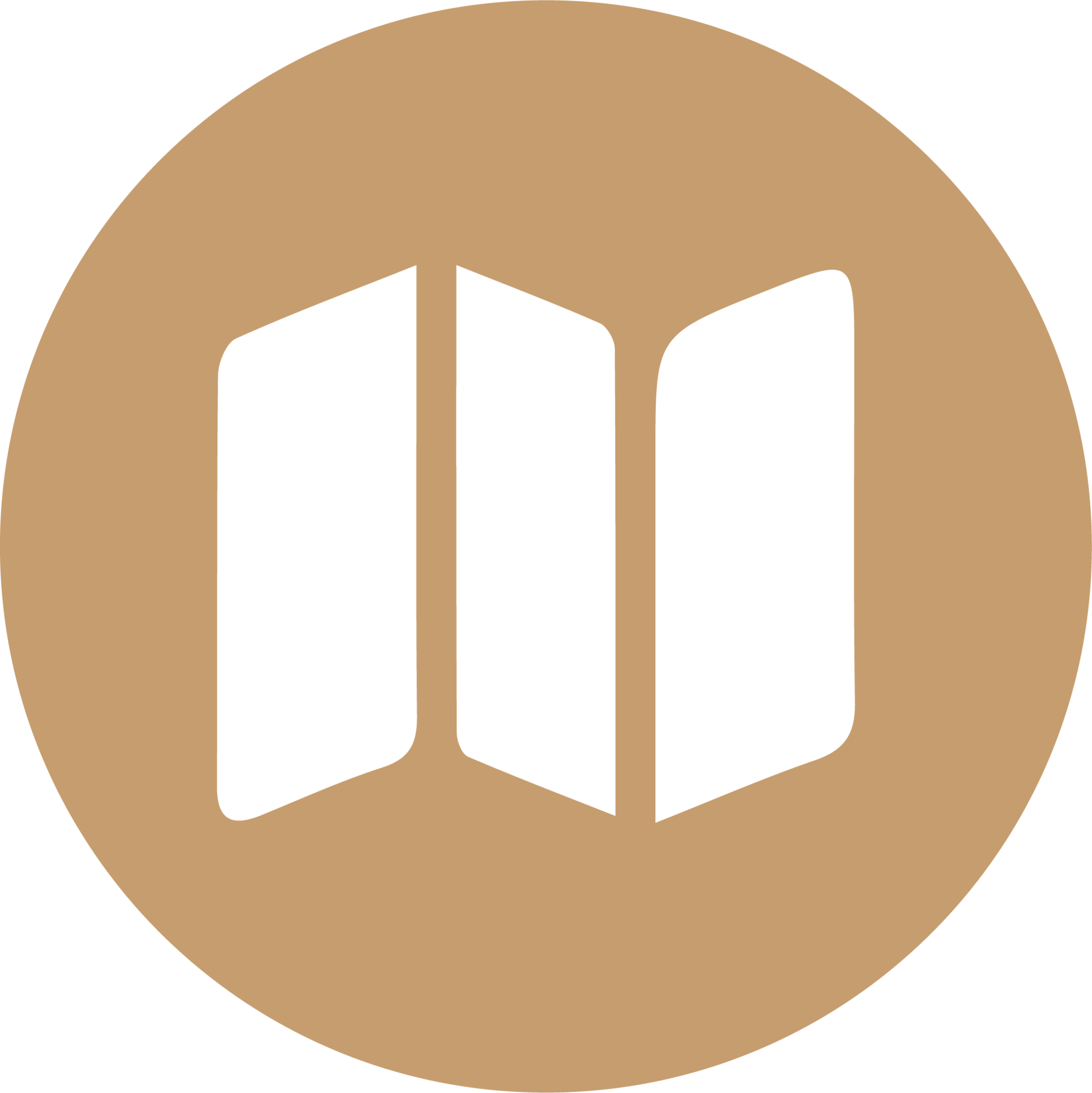 Excursion icon.