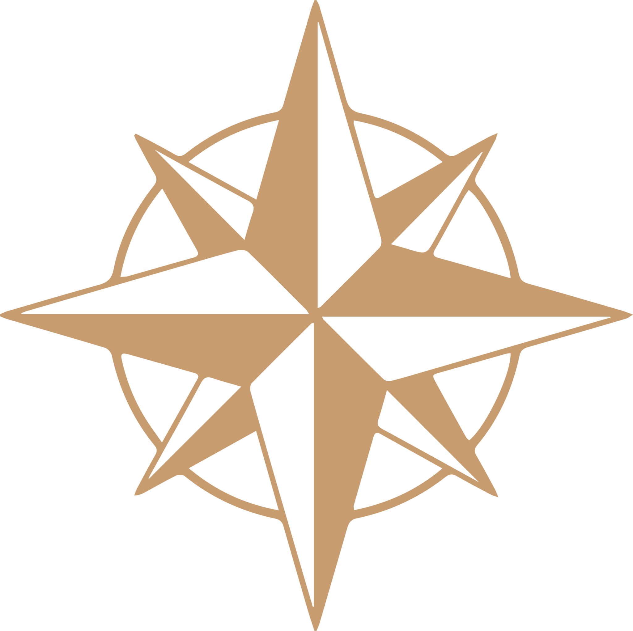 Once in a lifetime experiences icon with a compass.