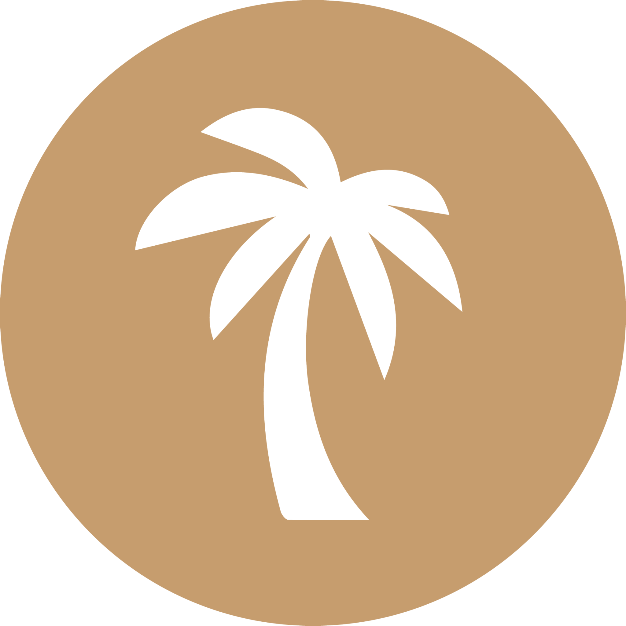 Palm tree icon.