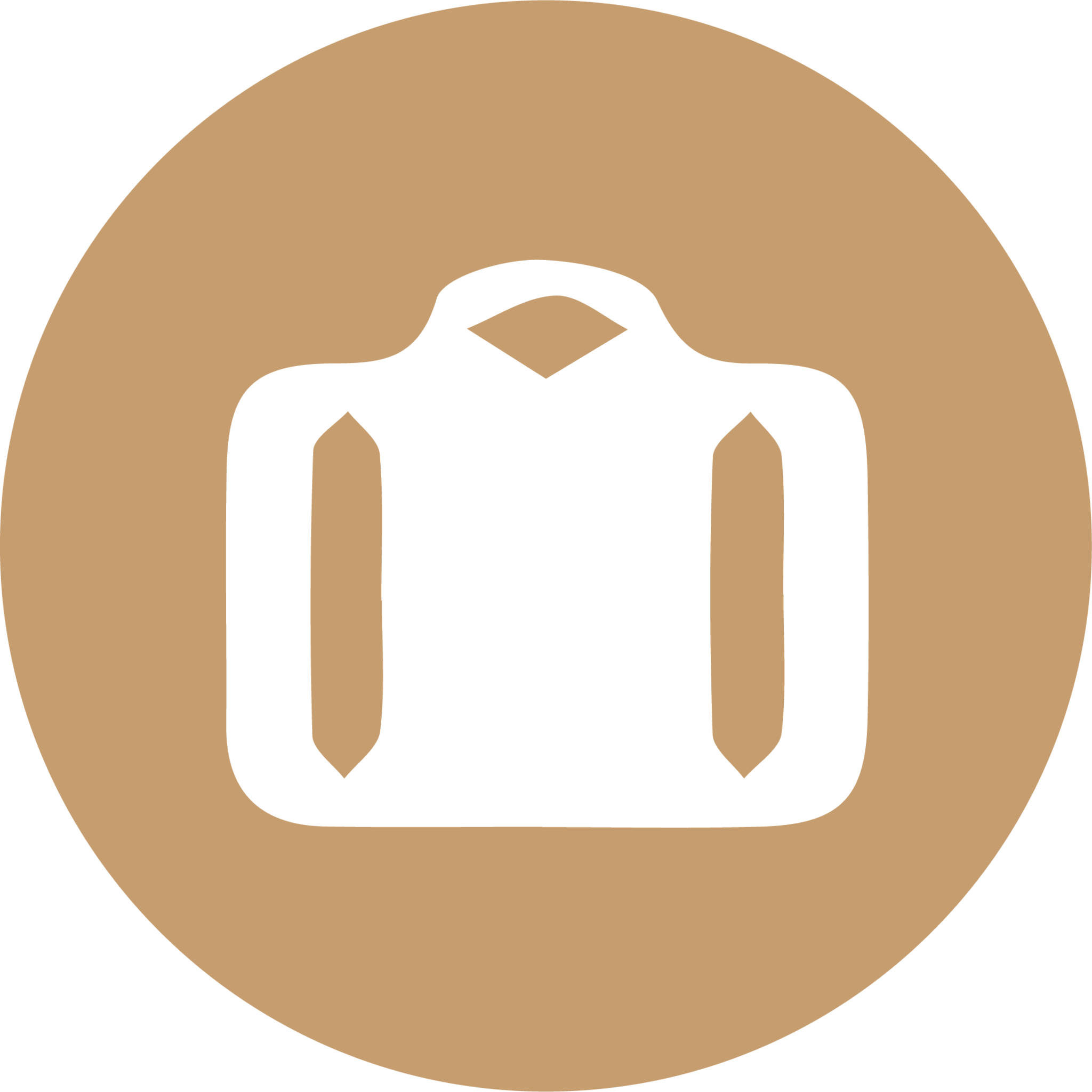 Holiday transfer icon.