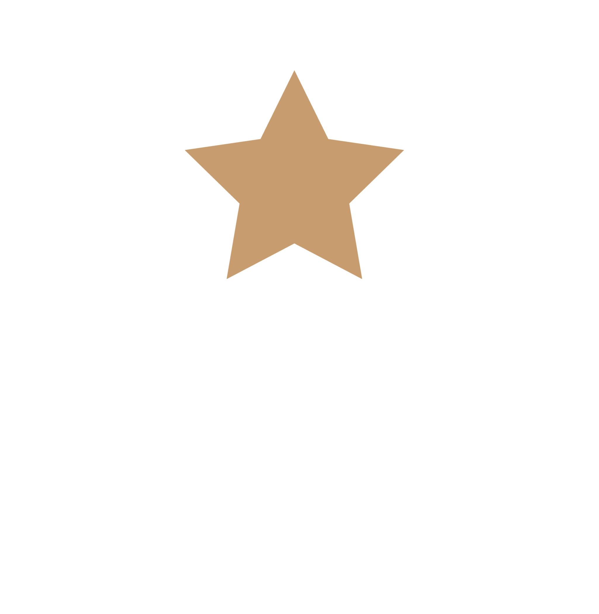 Travel agent award icon.