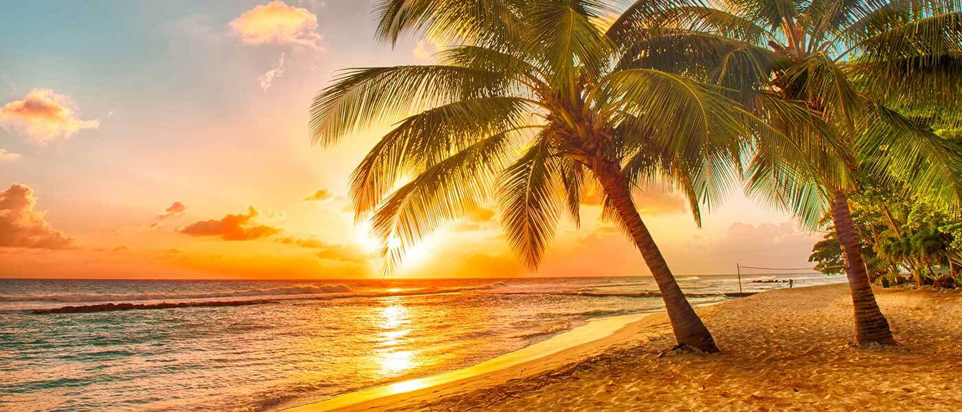 Tropical sunset shining yellow against the waves, highlighting the lush green palm trees.