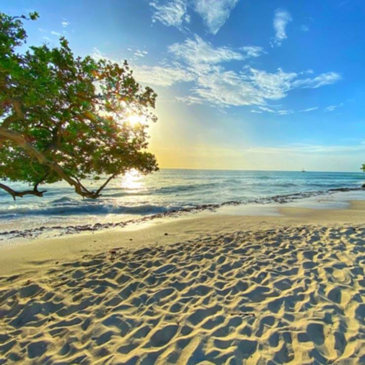 Sun setting over the beach in Aruba, with the waves lapping the dappled sand.