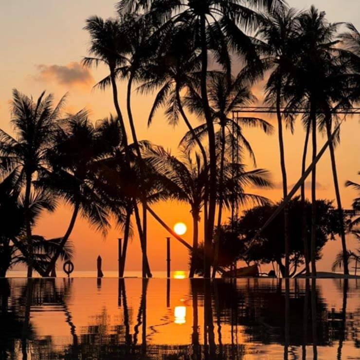 The reflection of the setting sun on calm waters in the Maldives, with palm trees in silhouette.