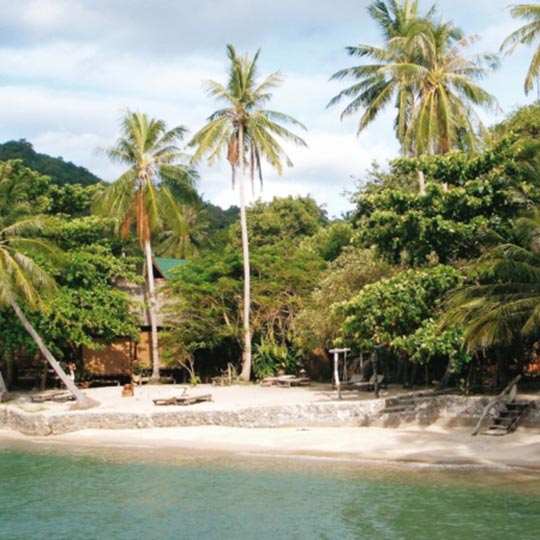 Exotic beaches of Koh Tao, lined with palm trees.