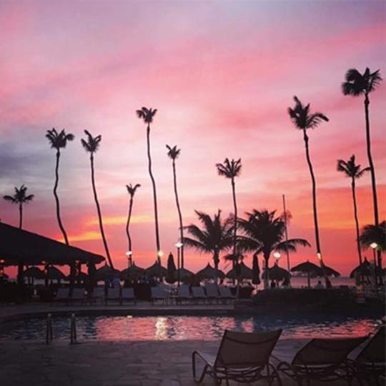 Stunning sunset in Aruba with pink skies and palm trees.