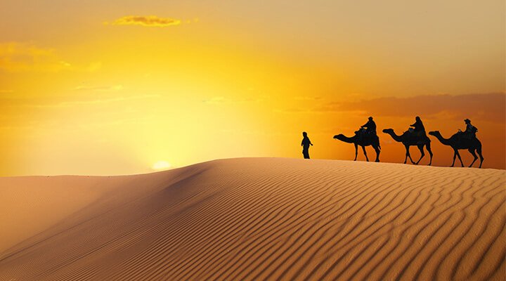 A man walking three camels across the saharan desert sand dunes into the sunset.