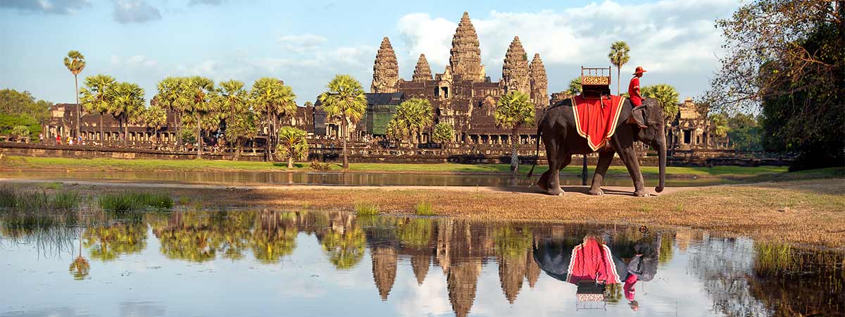 A tourist ride on an elephant in cambodia, walking in front of the famous siam reap temple.