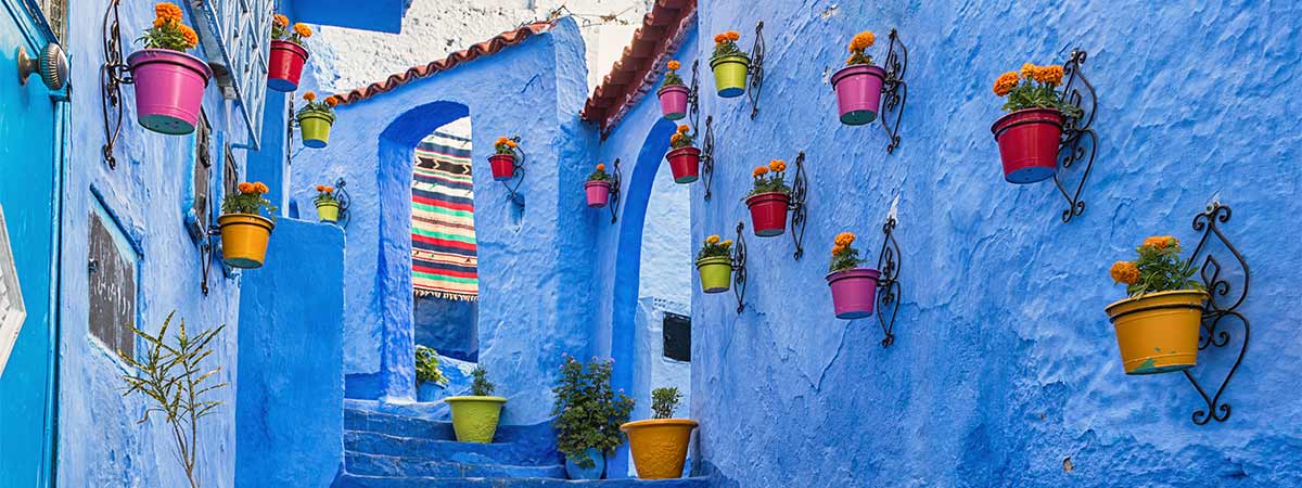 Morocco's colourful streets covered in flower pots and blue buildings.
