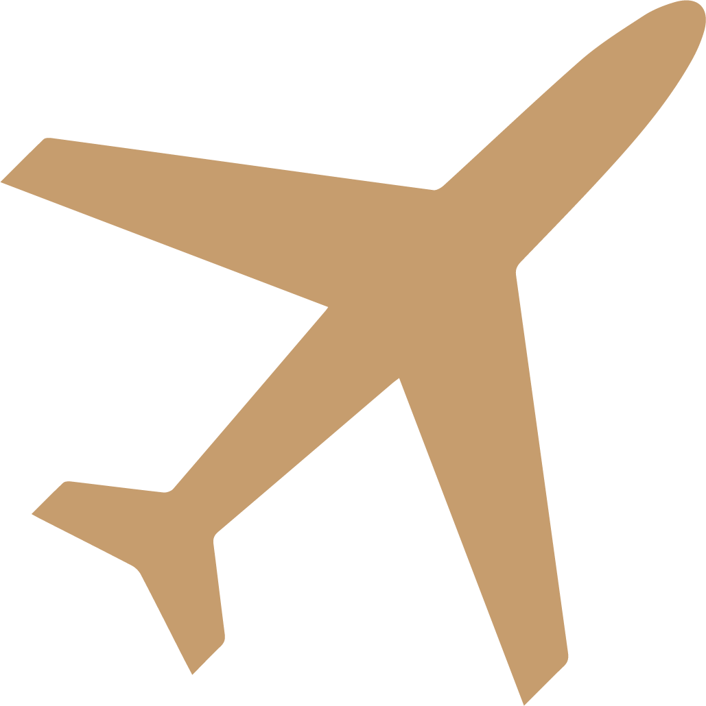 plane icon.