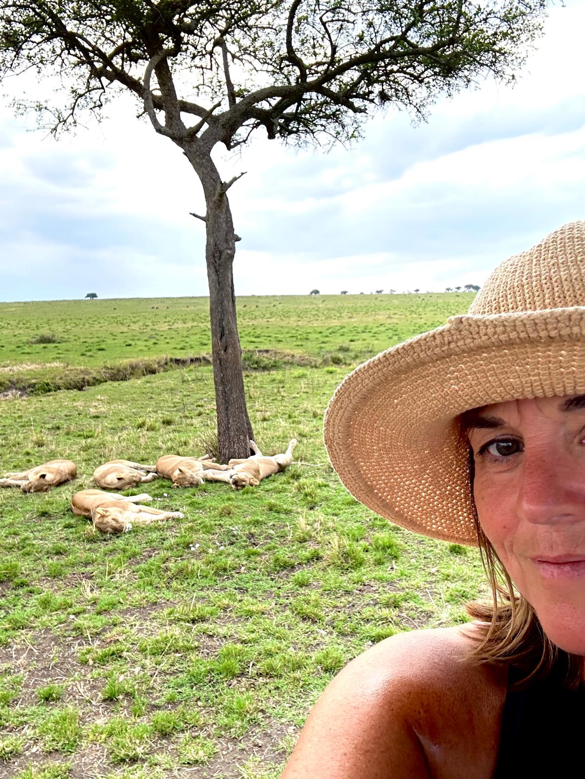 Woman in sun hat on safari, lions resting under acacia tree