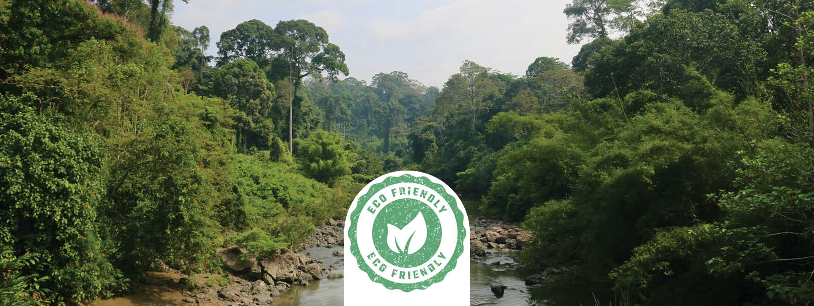Pristine rainforest river winding through dense jungle canopy, rocky riverbed and emerald green forest under blue sky