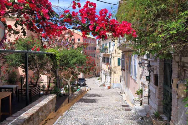 Cobblestone street with bright pink bougainvillea overhead and colorful Mediterranean houses